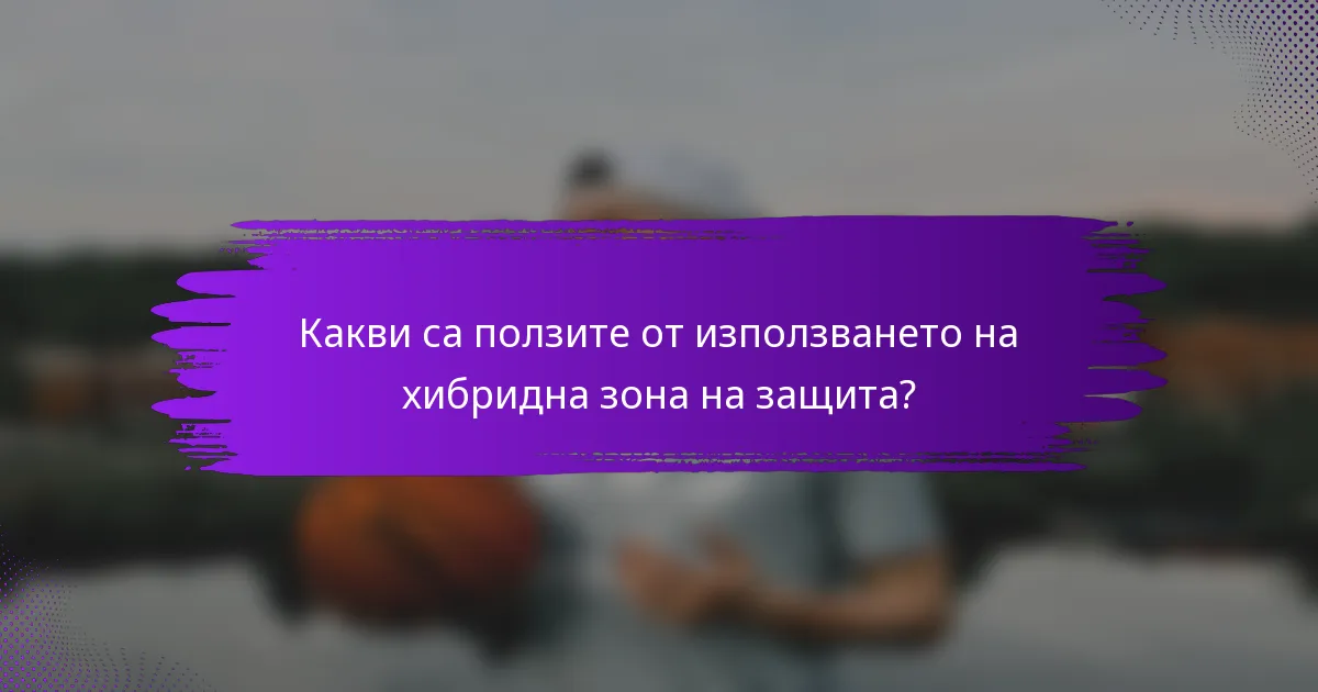 Какви са ползите от използването на хибридна зона на защита?